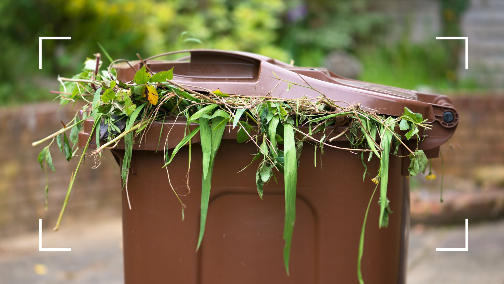 picture of garden waste bin with organic waste coming out of it