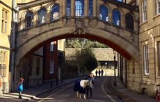 Ponies-in-Oxford.jpg