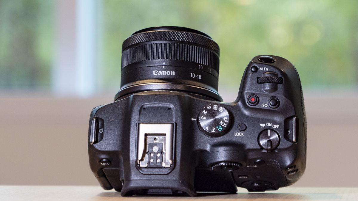 Canon’s new fullframe lens offers world record zoom for wildlife and