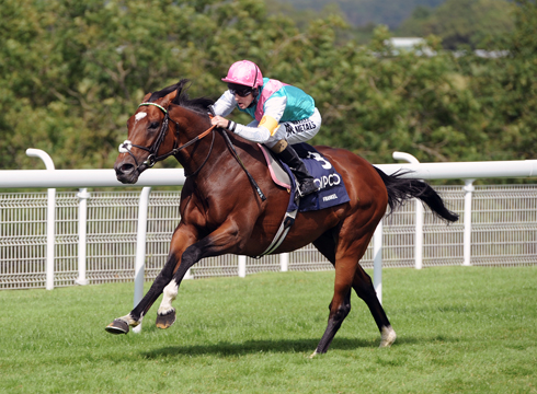 FRANKEL