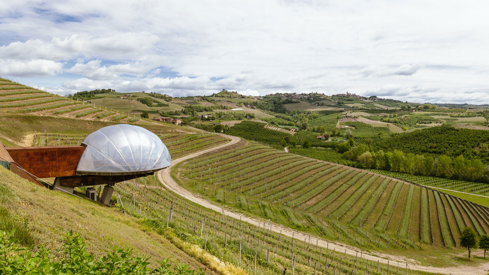 ceretto-vineyards-dome-acino-ftilio.jpg