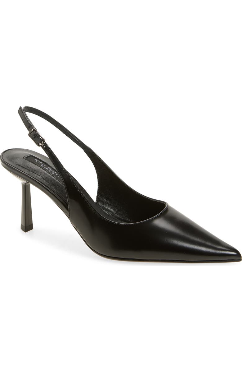 Baz Pointed Toe Slingback Pump