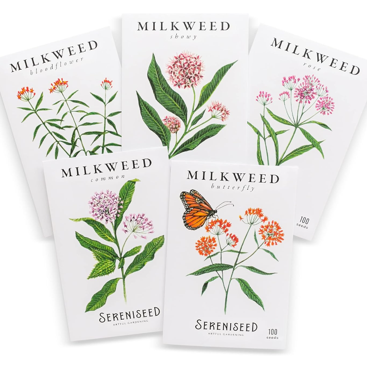 a bundle of five different packets of milkweed seeds