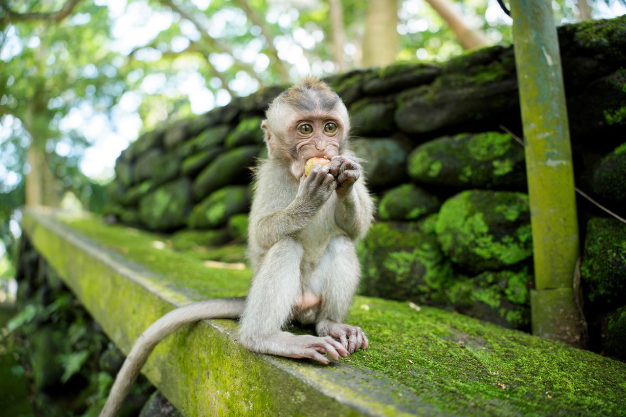 A sample image taken with the Tamron 25-200mm f/2.8-5.6 Di III VXD G2