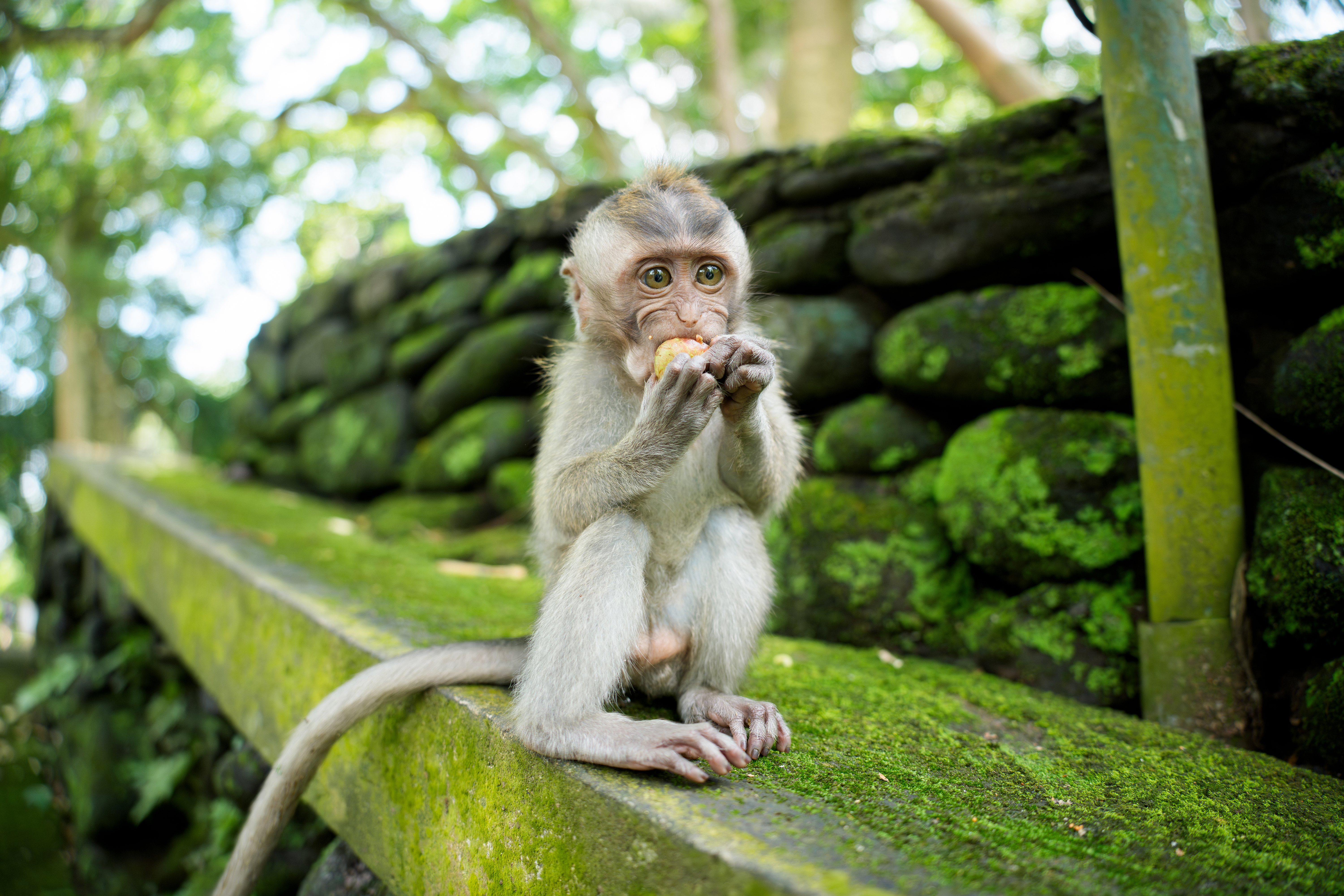 A sample image taken with the Tamron 25-200mm f/2.8-5.6 Di III VXD G2