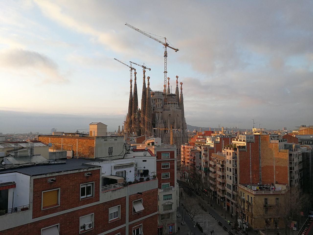 In natural light, we found the Huawei P10 would take some great shots