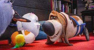 In "The Secret Life of Pets," it's not uncommon to have pet powwows.