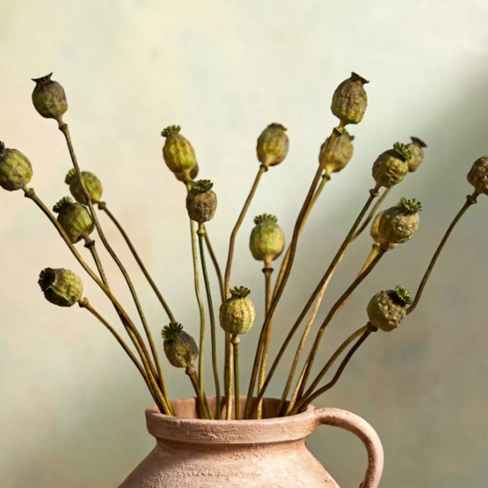 Dried seed heads in a vase