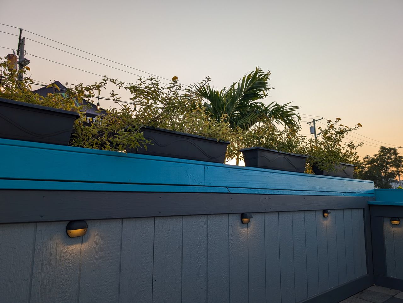 Google Pixel 9 dynamic range performance sample.