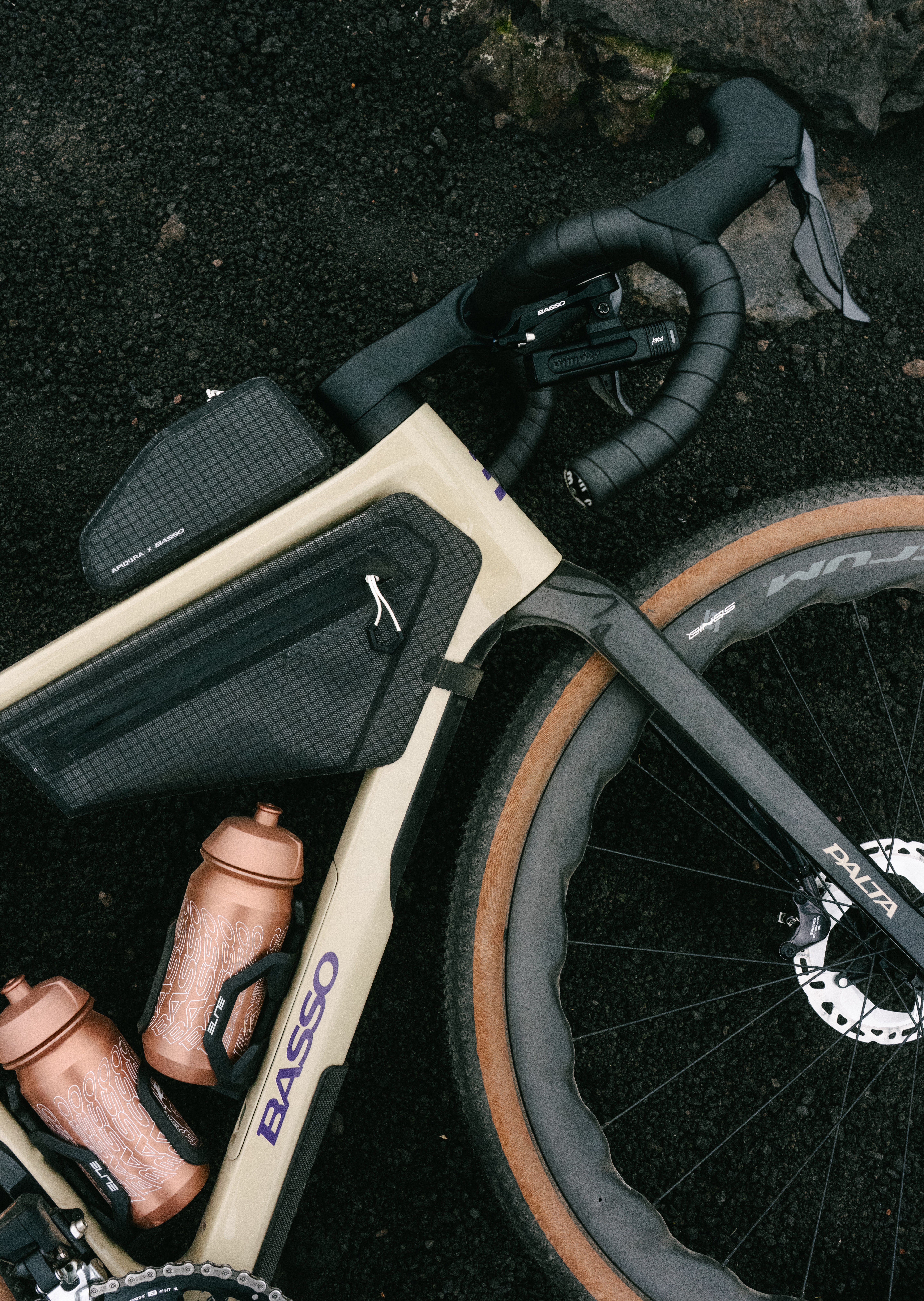 Paladar Inferior III 