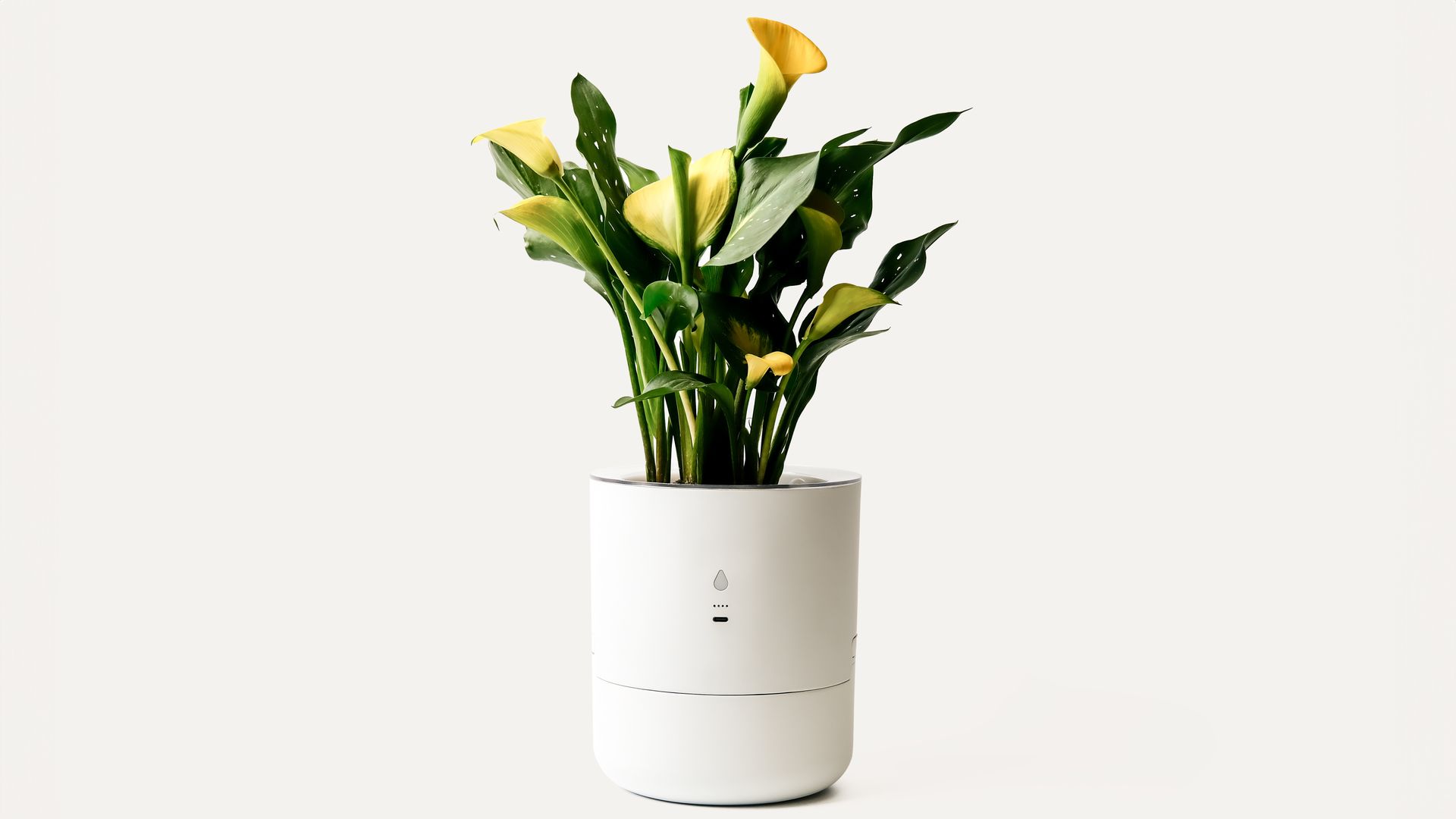 CES 2025: The Leafypod is a self-watering plant pot | Wallpaper