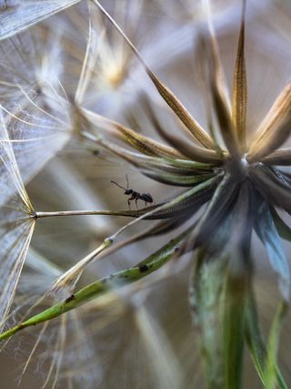 'Hitching a ride' by Jason Meadows / British Photography Awards