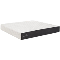 Cocoon Chill Memory Foam Mattress: &nbsp;$699&nbsp;$399 at Cocoon by Sealy