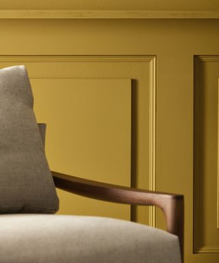Turmeric colored paint, Tigers Eye by Zoffany