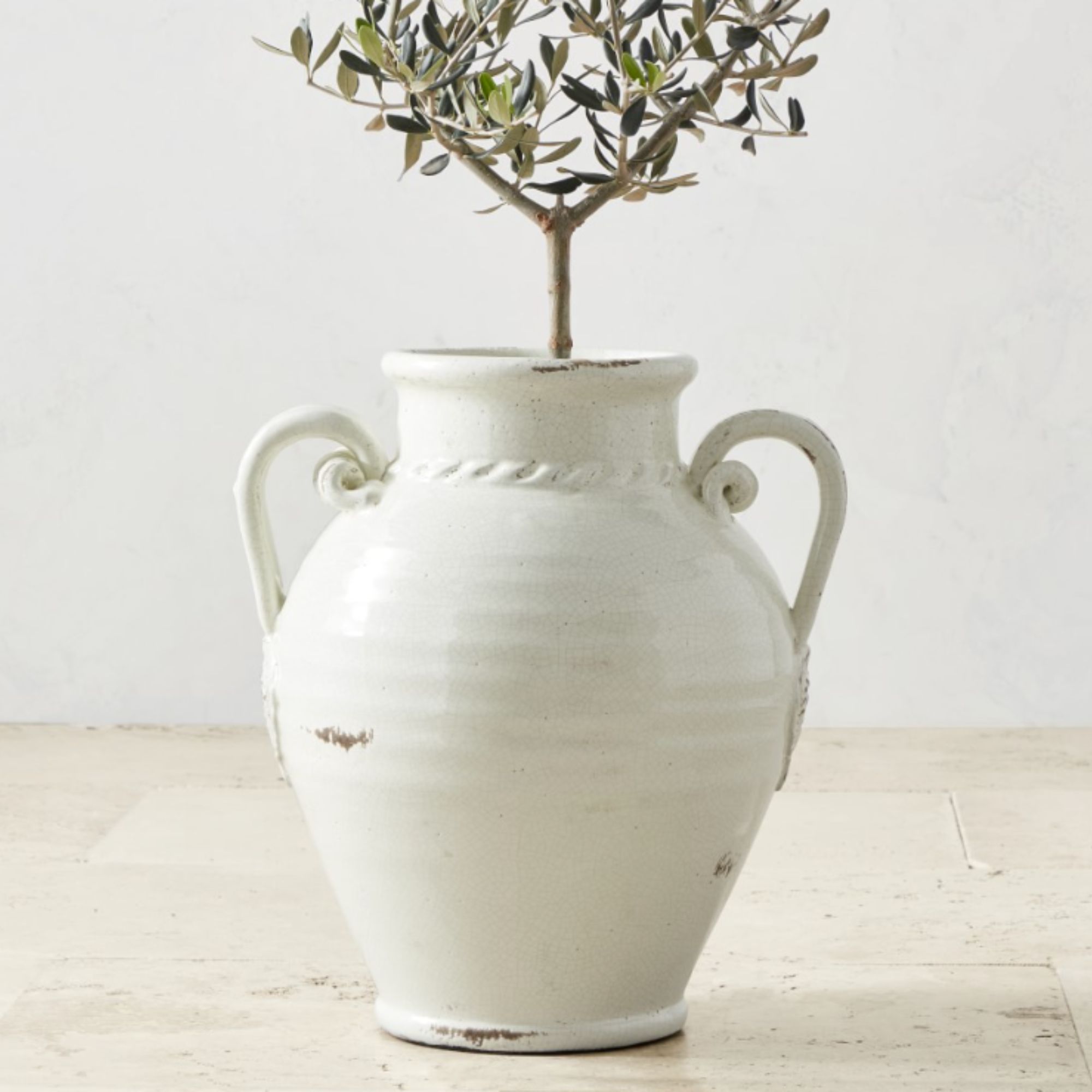 White stone urn with olive tree in