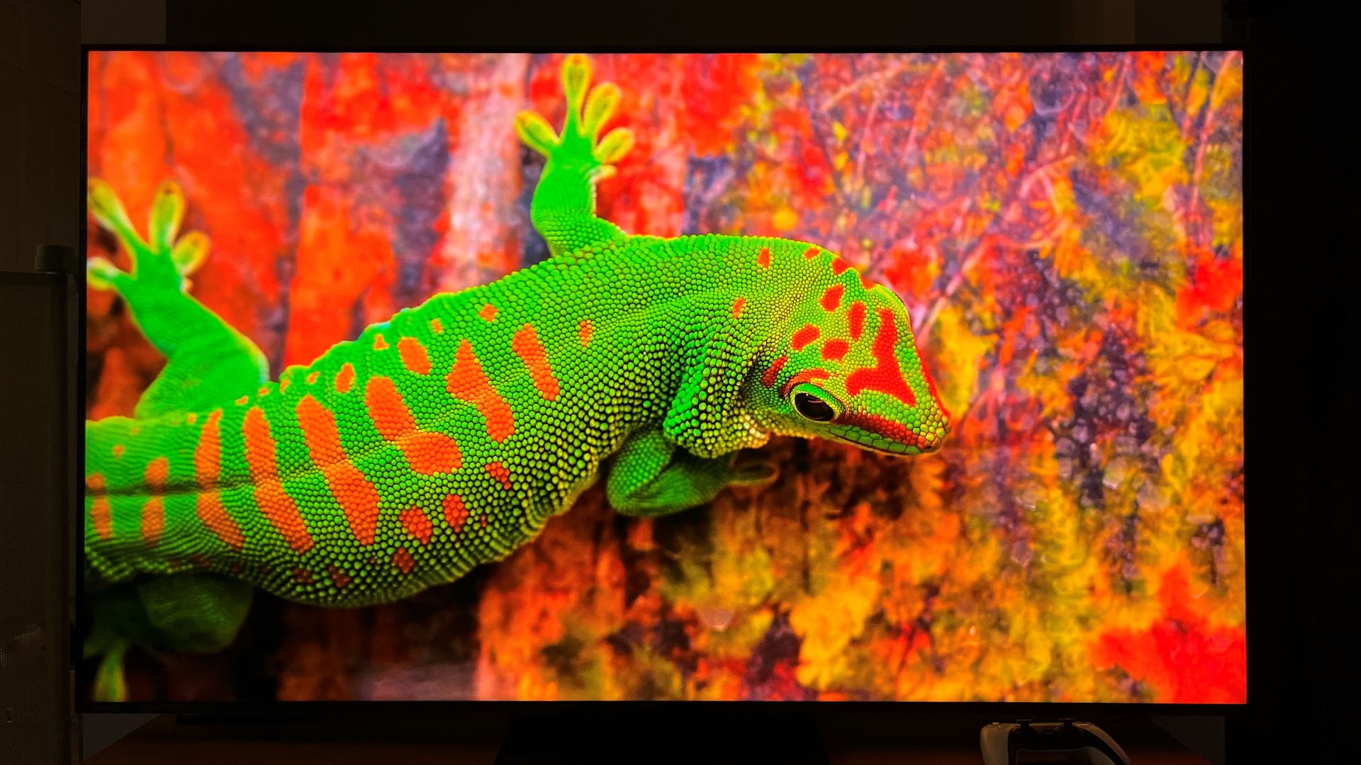 TCL QM7K showing image of lizard on screen