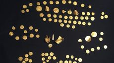Some gold coins from the Norfolk hoard 