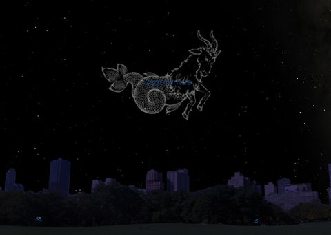 You Have Goat to Be Kidding: Spot Capricornus, the Sea Goat Space