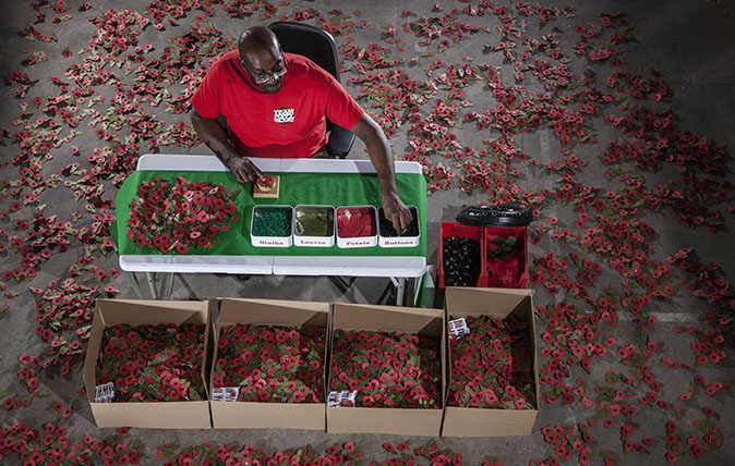 Living National Treasure - Poppy maker