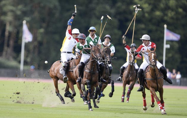 &copy; www.imagesofpolo.com