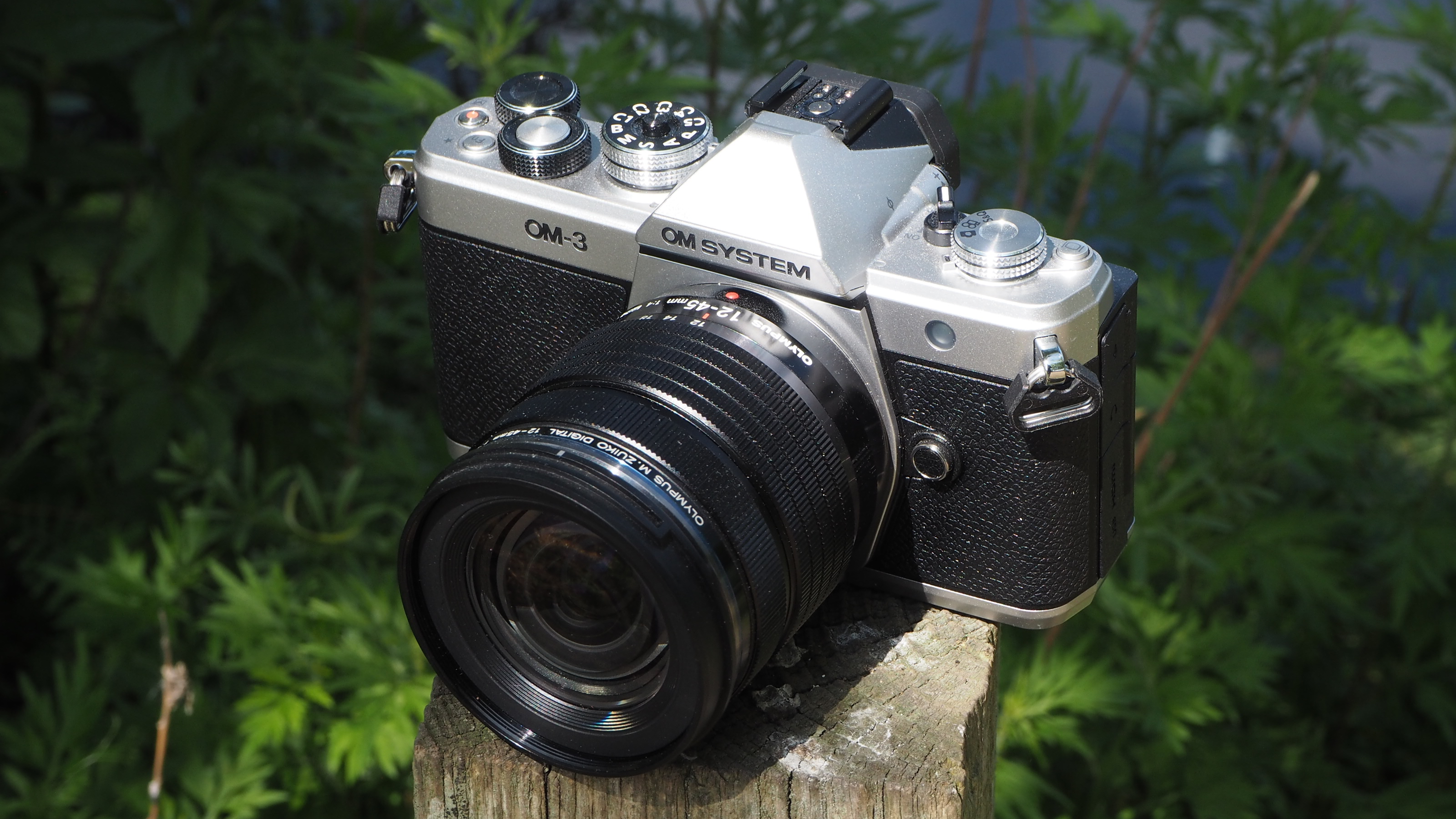 OM System OM-3 on a wooden post next to a pond and bushes