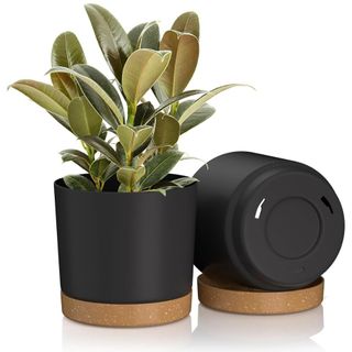 plant pot with saucer