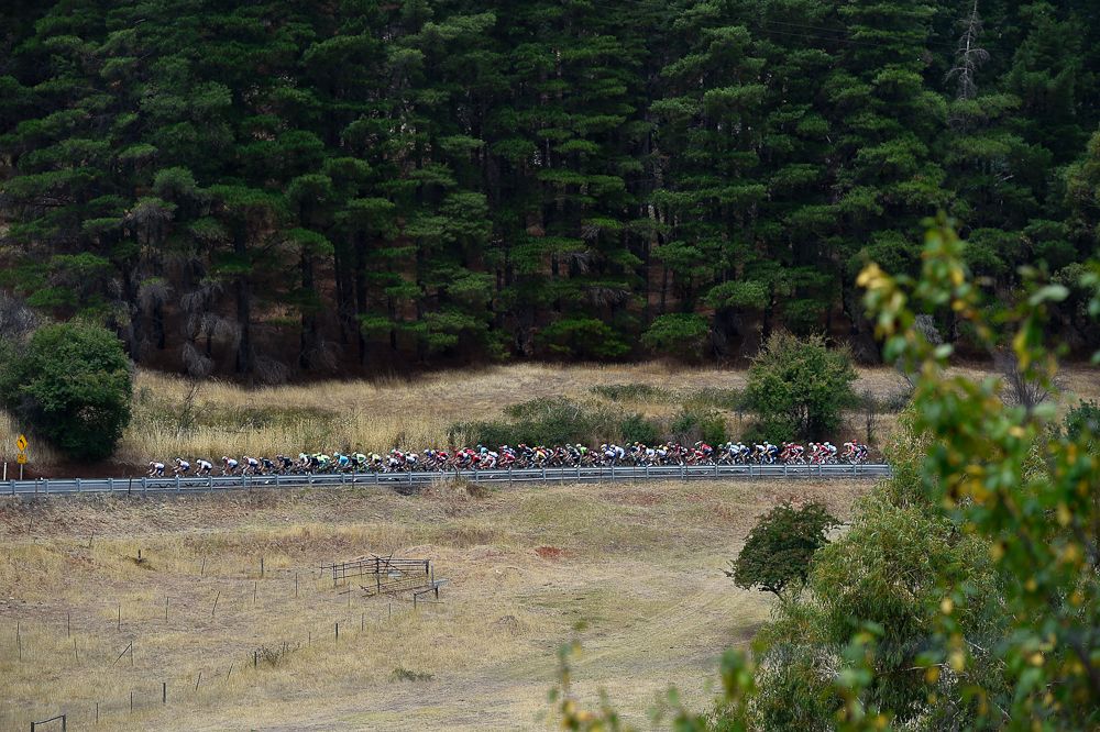 The peloton in action during stage 3 of the Tour Down Under