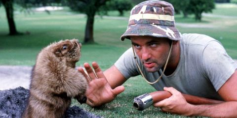 The 21 Most Hilarious Bill Murray Encounters | Cinemablend