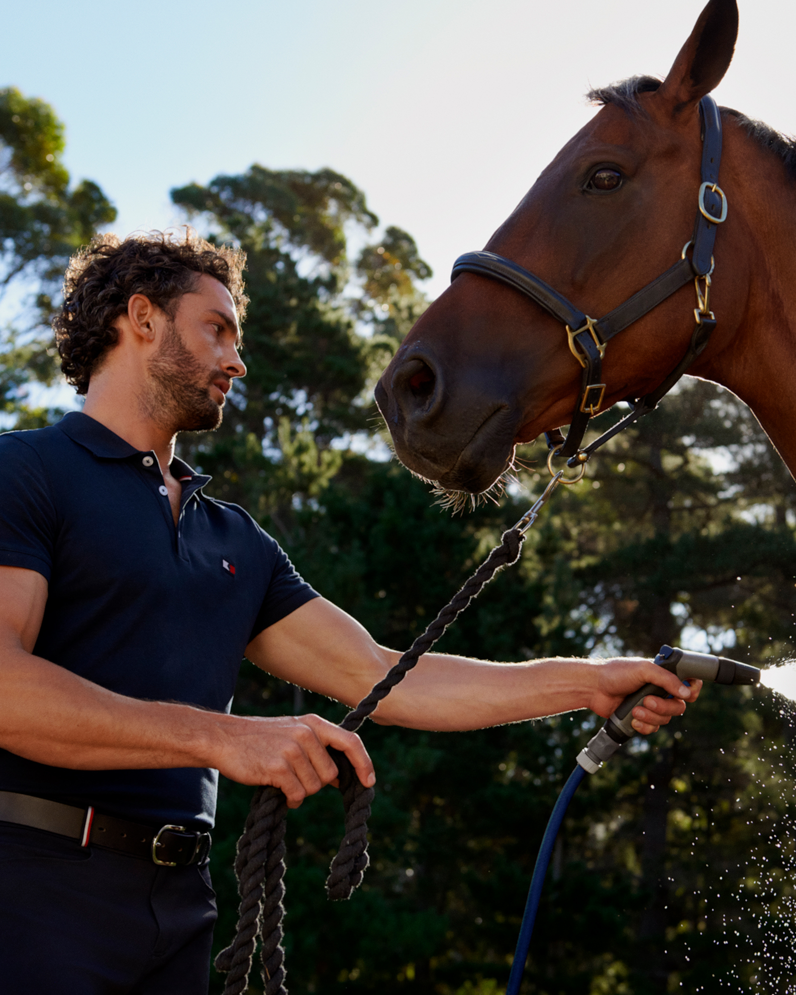 Tommy Hilfiger equestrian collection