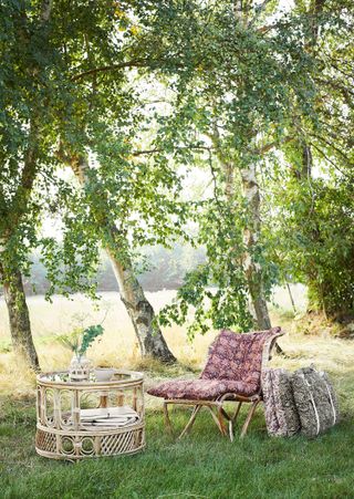 bohemian garden ideas: casual seating beneath trees