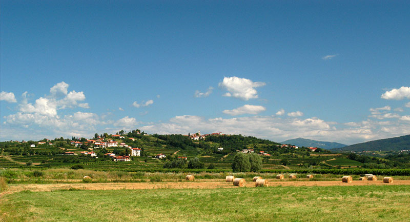 Collio