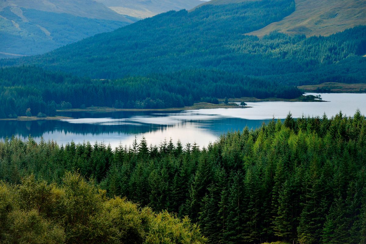 Nature Brit Four of Britain's biggest Nature charities join the fight against ...