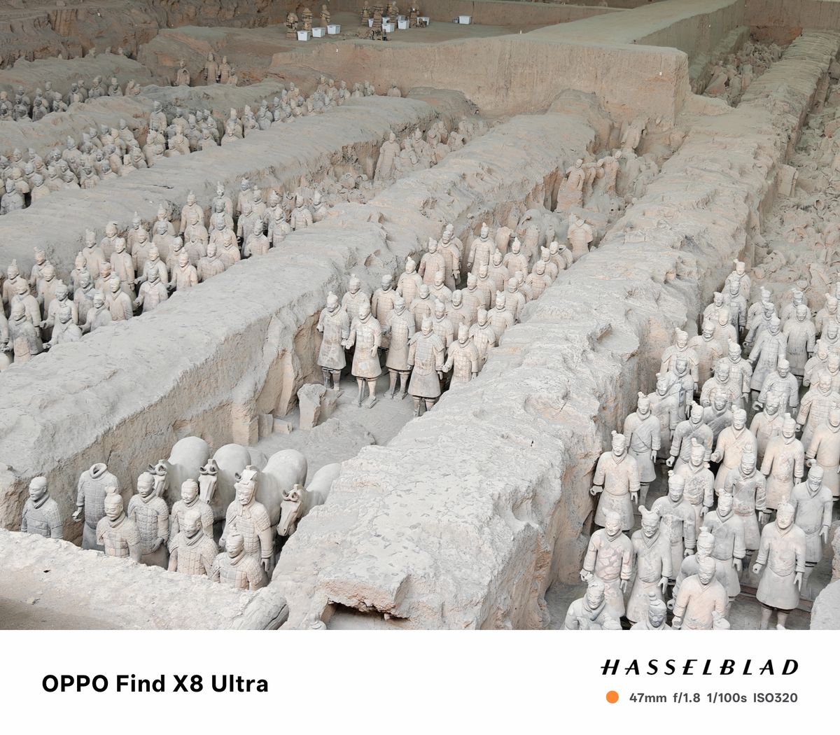 Rows of terracotta warriors