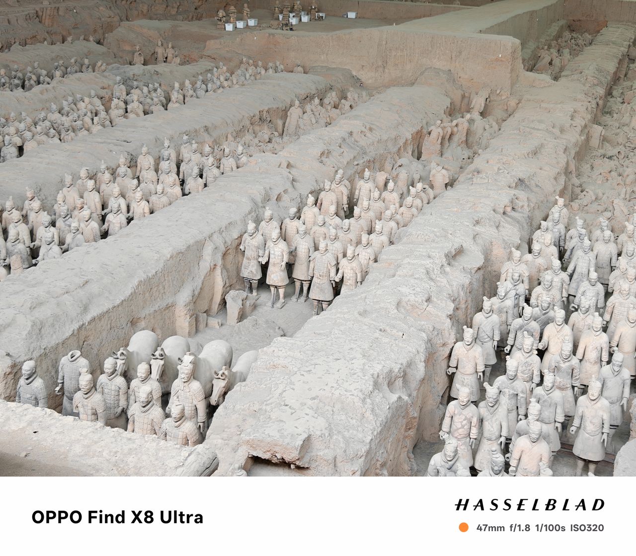 Rows of terracotta warriors
