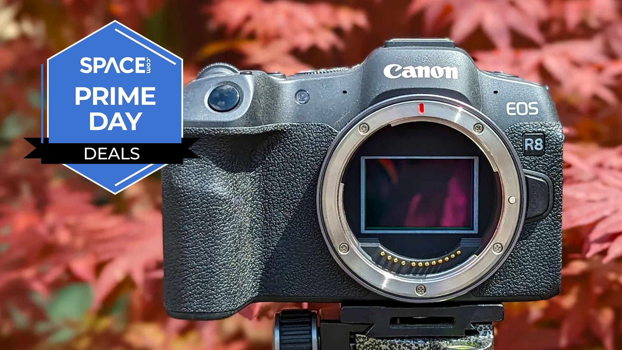 space.com - Harry Bennett - This Best Buy deal gets you a huge $428 off the Canon EOS R8