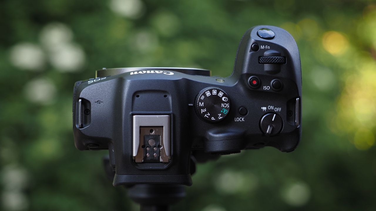 Canon EOS R7 sample