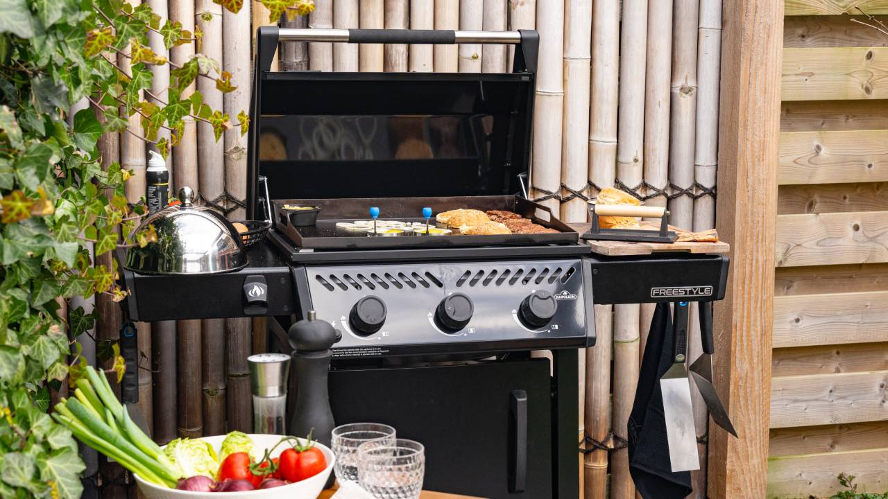 Napoleon Freestyle 24 Plancha Griddle