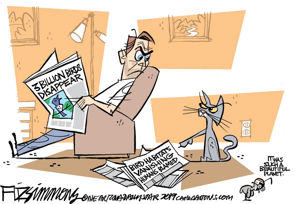 Editorial Cartoon U.S. bird disappearance habitat loss The Week