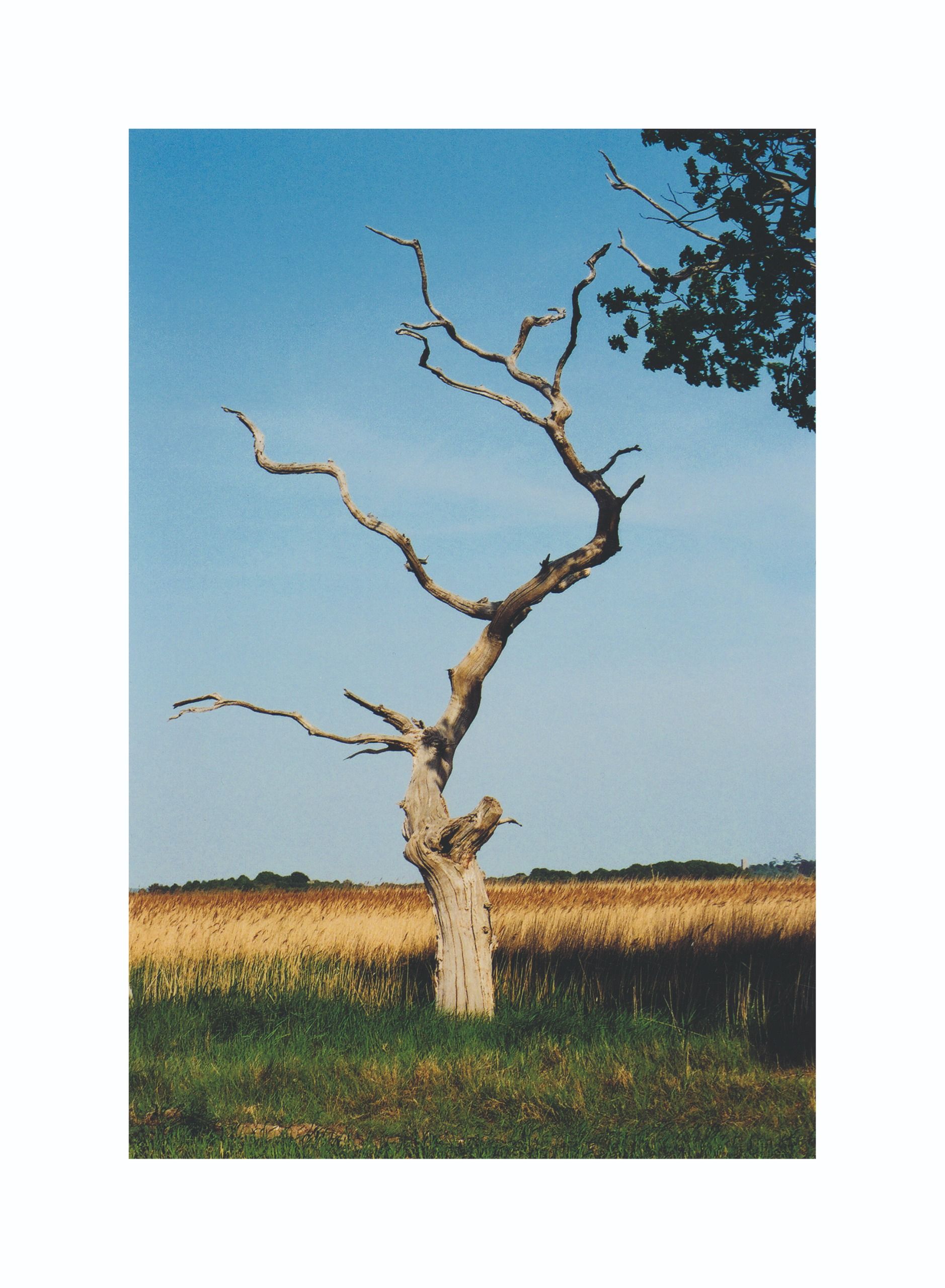 Photographs by Margaret Howell 2027 calendar