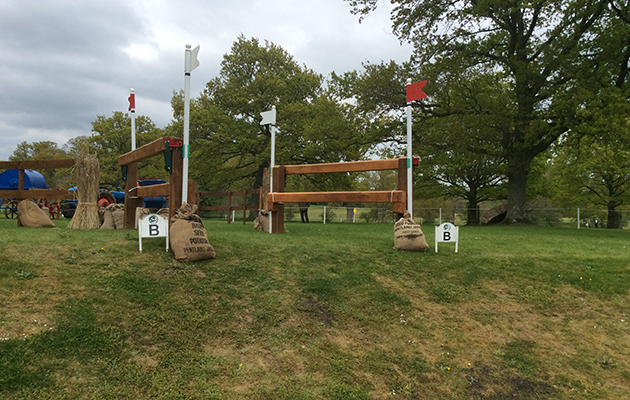 Badminton Fences 2017