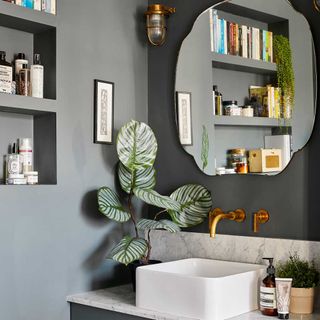 bathroom with grey wall wash basin designed wall mirror and plant