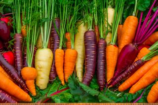 Carrots developed vibrant colors when they were domesticated. 