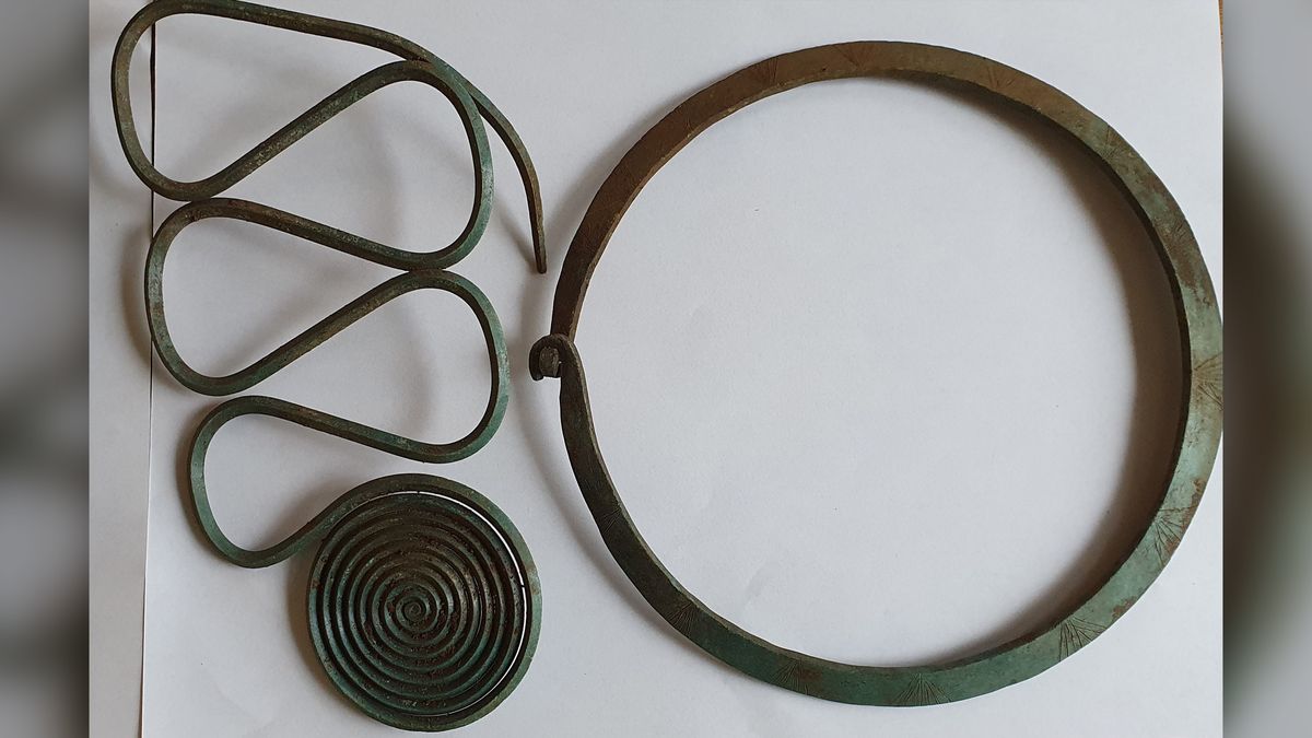Stunning hoard of Bronze Age jewelry discovered by local hiker in Sweden - Livescience.com