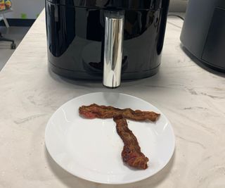 Bacon on a plate in front of the Prosenic T22.