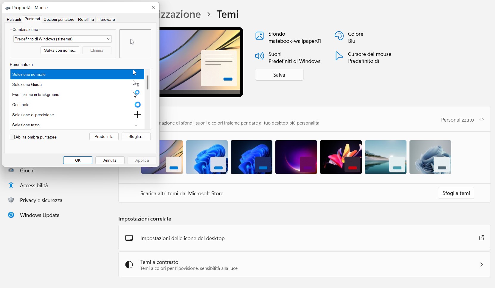 Windows 11
