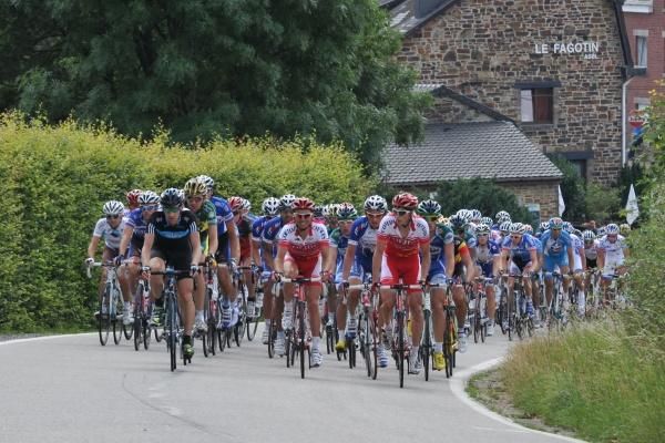 The peloton waiting to pounce.