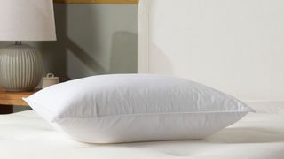 parachute down pillow