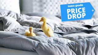 A pair of adorable ducklings on a Layla Down Alternative Comforter, with a Tom's Guide badge saying "PRICE DROP"
