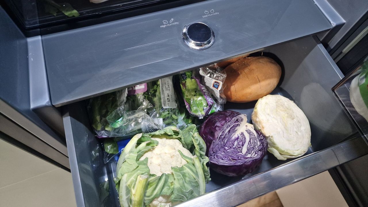 Hisense RB5K330GSFC in a green modern kitchen