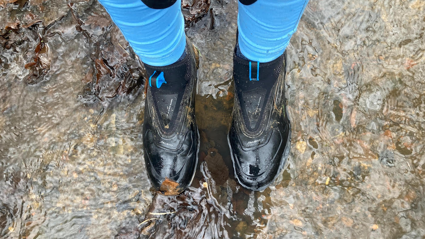 Ariat Ascent paddock boots